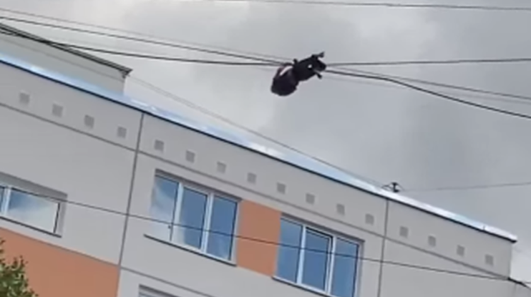 VIDEO RUPOR.MD Și-a riscat viața pentru 500 de ruble! Un bărbat a mers pe firele electrice dintre două locuințe