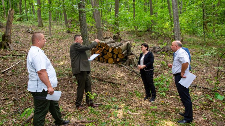 FOTO Gavrilița în inspecție! A mers să vadă procesul de repartizare a lemnelor din raionul Călărași