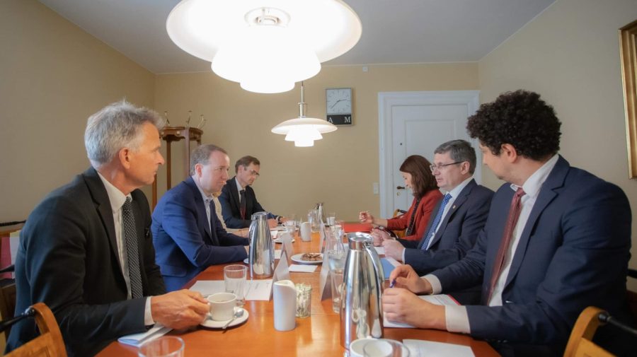 În Moldova ar putea veni investitori danezi în domeniul energiei regenerabile. Grosu le-a lansat oferta