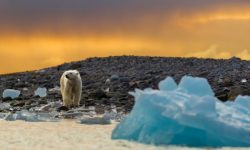 Planul controversat de „reînghețare” a Polului Nord și Sud prin stropirea de dioxid de sulf în atmosferă