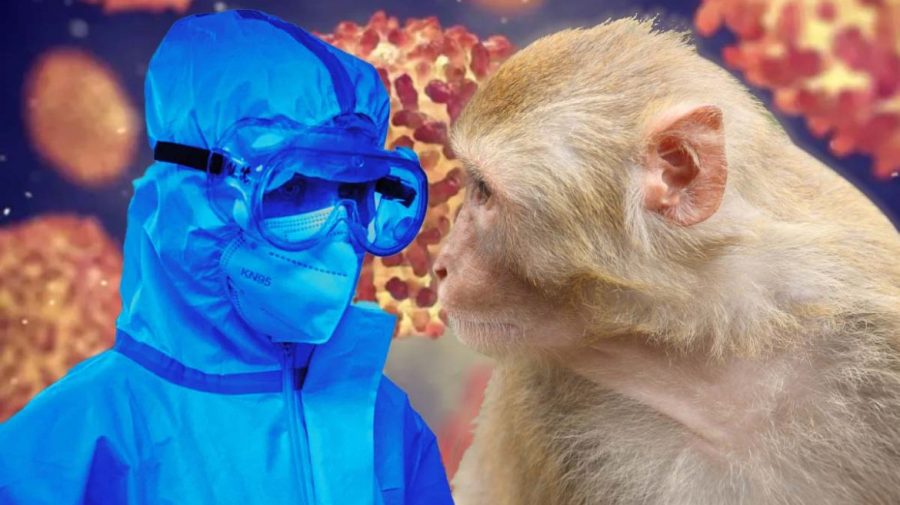 Primul deces din SUA din cauza variolei maimuţei, confirmat în Los Angeles