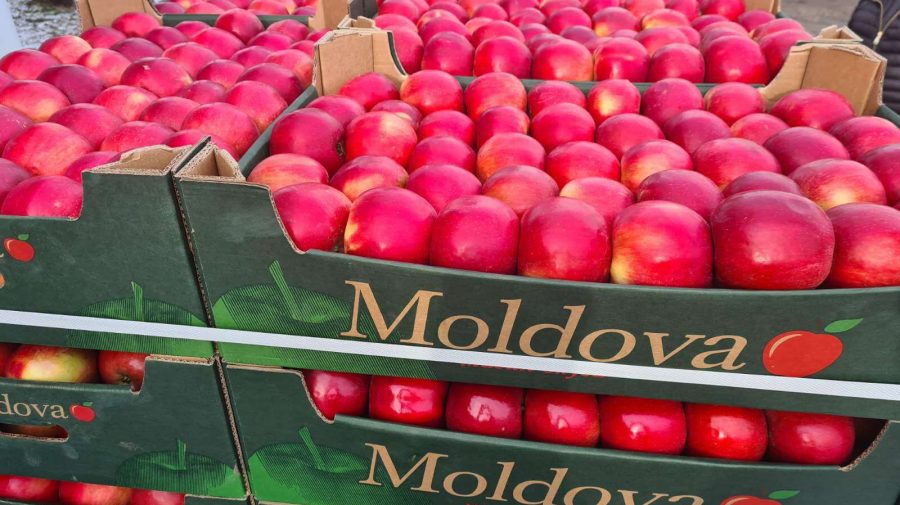 Producția globală de mere în Moldova, în acest an, este cu 40% mai mică decât anul precedent