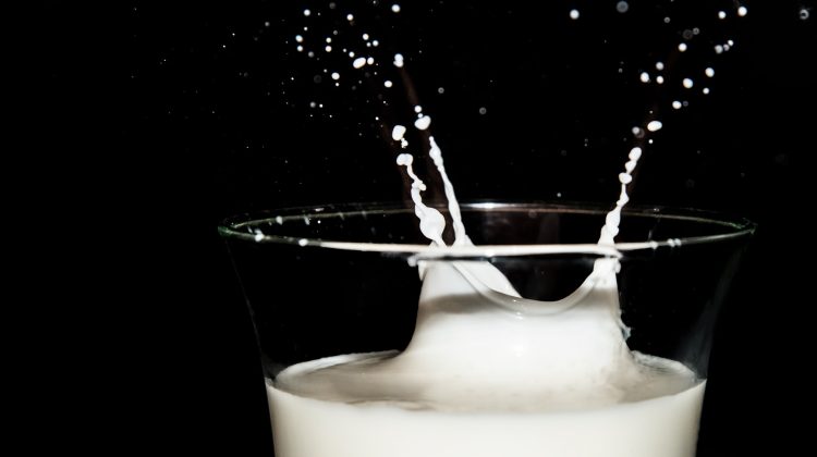 Laptele trebuie verificat! Inspectorii pentru siguranța alimentelor dau buzna la centrele de colectare din țară