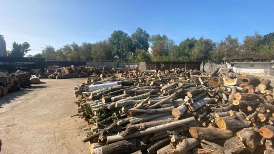 Percheziții la Anenii Noi. Doi angajați ai unui ocol silvic – reținuți pentru tăierea ilegală a lemnelor