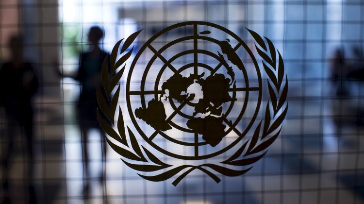 Rusia cere o reuniune a Consiliului de Securitate al ONU. Care este motivul