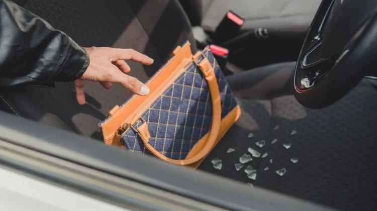 VIDEO Șoferița unui Lexus a rămas fără geantă și bani! Poliția spune cine i-a sustras bunurile