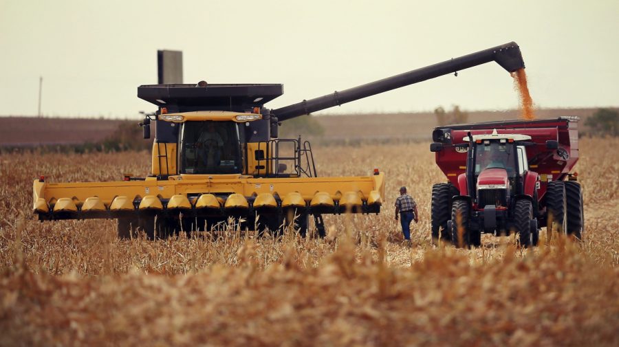 Fără impedimente! Fermierii din Dubăsari vor putea strânge roada de pe terenurile de după traseul Tiraspol-Camenca