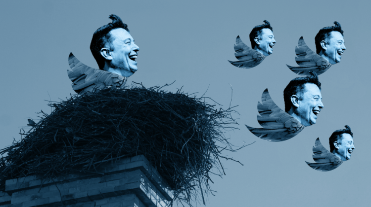 „Pasărea” lui Musk va zbura după reguli europene. Cine este comisarul care a găsit ac de cojocul miliardarului