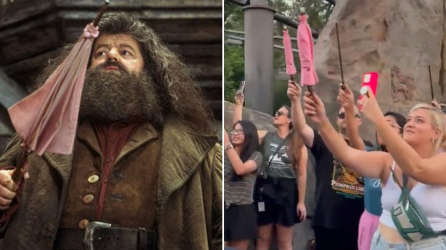 VIDEO Au venit să-și ia adio de la Hagrid! Gestul emoționant al fanilor Harry Potter