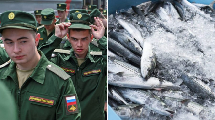 Cât valorează viața unui soldat? Familiile rușilor mobilizați de pe insula Sahalin vor primi câte 5 kg de pește