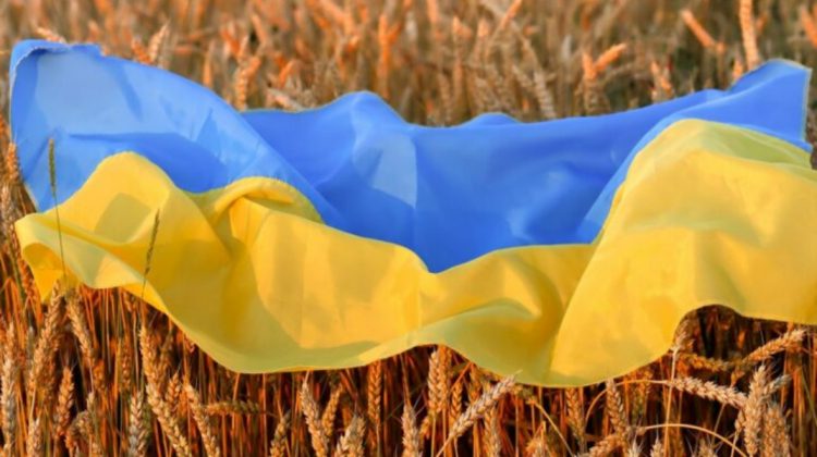 Prietenul la nevoie se cunoaște! România a facilitat tranzitul a peste 5,2 milioane de tone de cereale din Ucraina