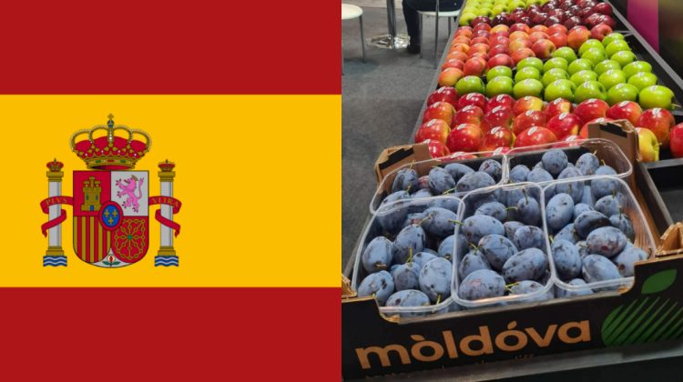 FOTO Fructele noastre ajung în Spania! Moldova Fruct participă la expoziția internațională de la Madrid
