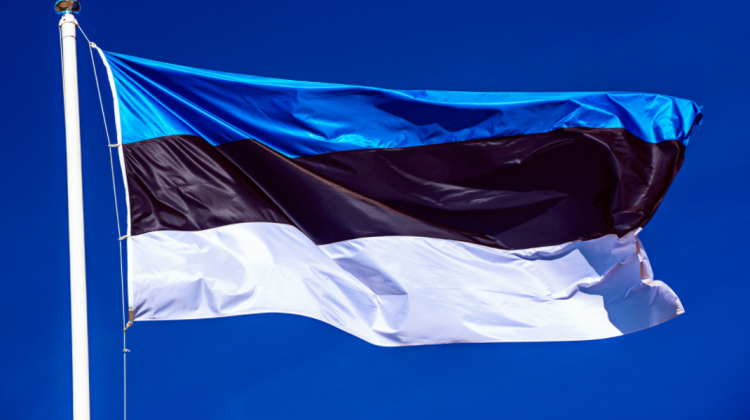 Alegătorii din Estonia vor putea vota de anul viitor cu ajutorul unei aplicaţii pe telefoanele mobile