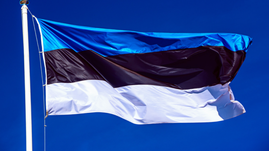 Parlamentul din Estonia a declarat oficial Rusia „stat terorist”