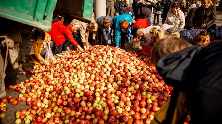 ȘOR a organizat un flashmob la Ministerul Agriculturii: Tone de mere au fost descărcate în centrul Capitalei