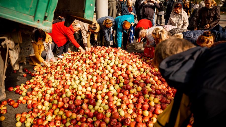 Poliția: Bărbatul care a descărcat merele în fața Ministerului Agriculturii era drogat