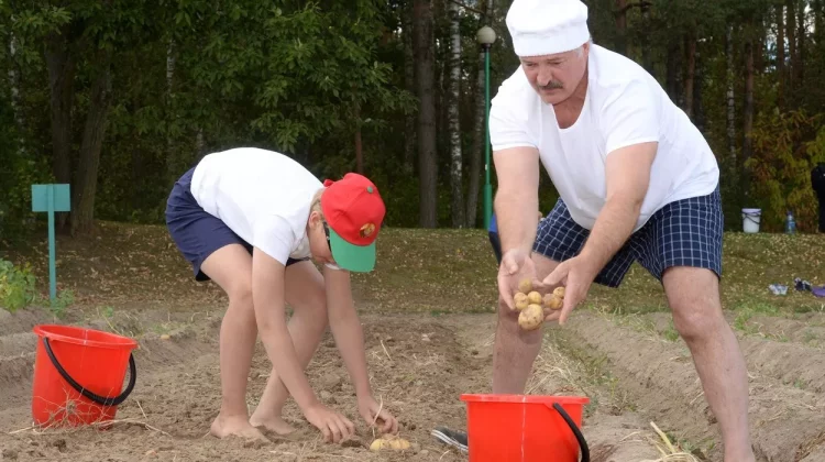 „Cu ce exemplu ne vom creşte copiii”? Lukașenko, indignat că elevii nu pot fi trimiși la cules cartofi