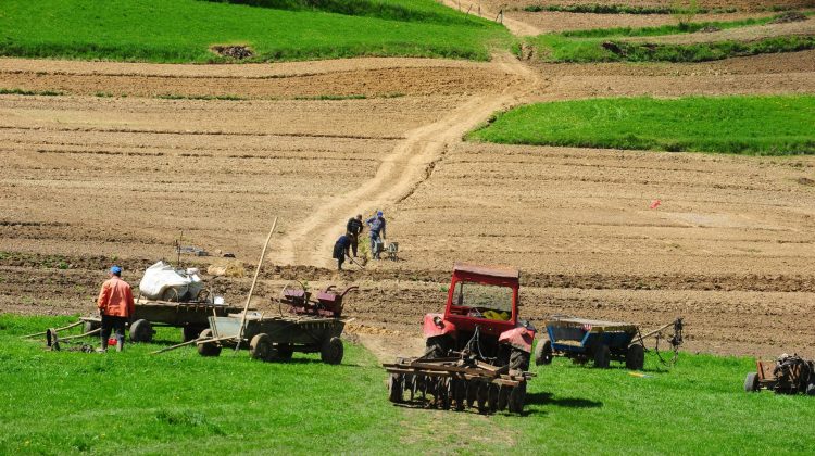 BANI.MD Azerii visează la terenurile agricole – bogăția Moldovei. Vor să le închirieze pentru cultivarea cerealelor