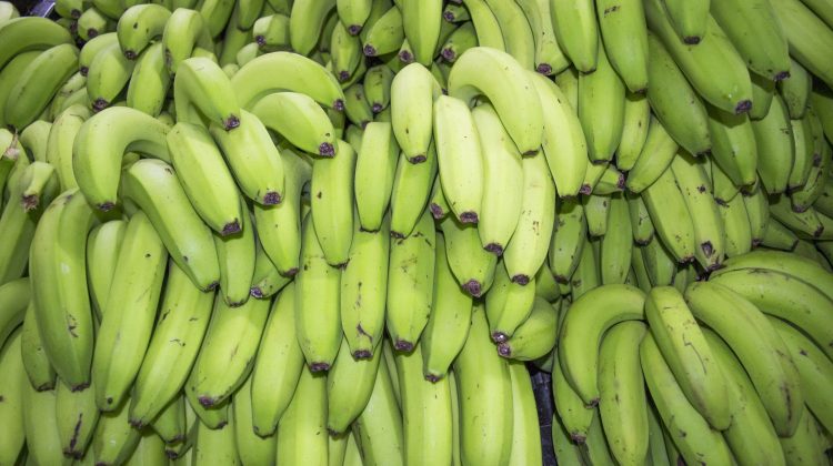 Adevărul despre bananele verzi. Ce efecte neștiute au asupra organismului