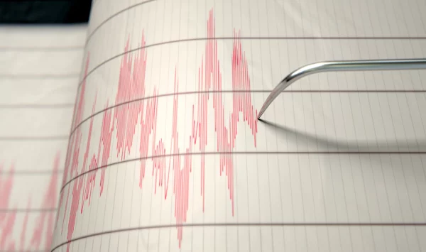 S-a zguduiut pământul noaptea! Cutremur în zona seismică Vrancea