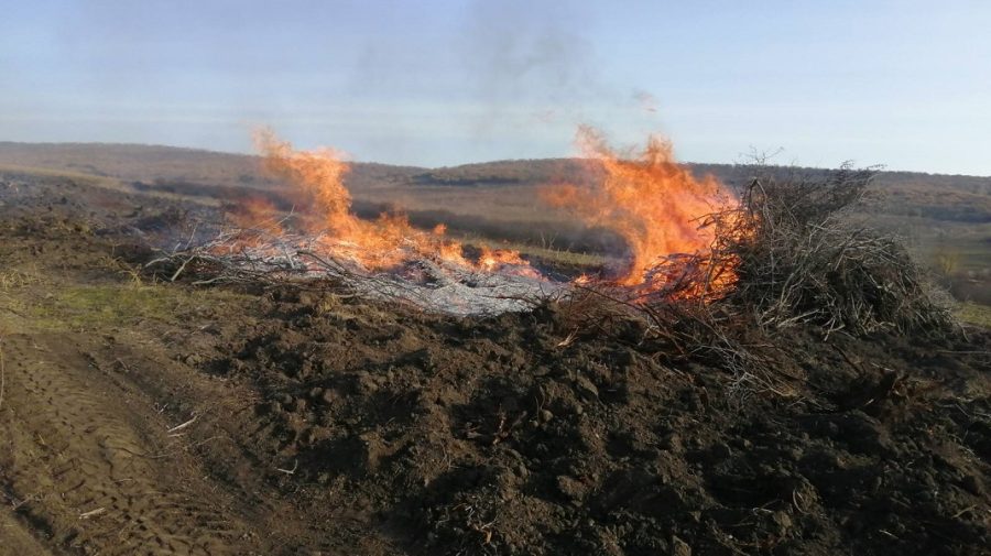 Amendă de 10 mii lei pentru doi moldoveni, care au dat foc la frunze. Inspectorii de mediu au făcut razii la Nisporeni