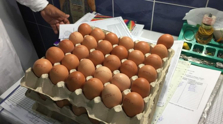 Restricţii la achiziţiile de ouă în Marea Britanie. Care sunt motivele?