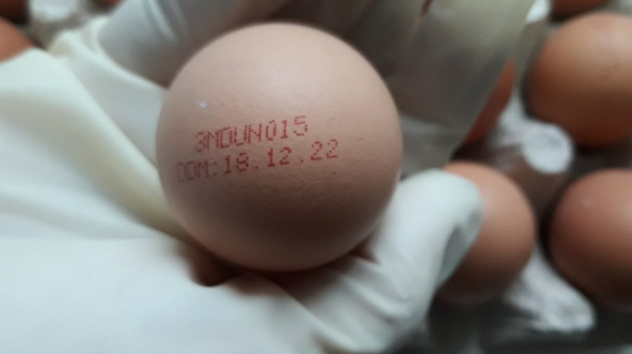 FOTO Atenționare de la ANSA. Un producător de ouă retrage un lot din comercializare. Motivul