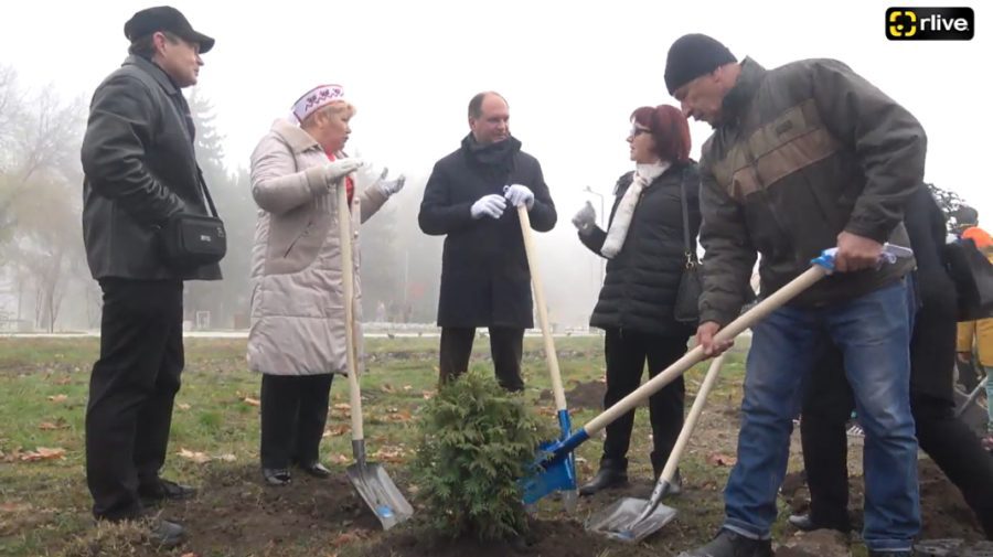 VIDEO În plină toamnă, Capitala înverzește! Municipalitatea va planta zeci de mii de arbori și arbuști