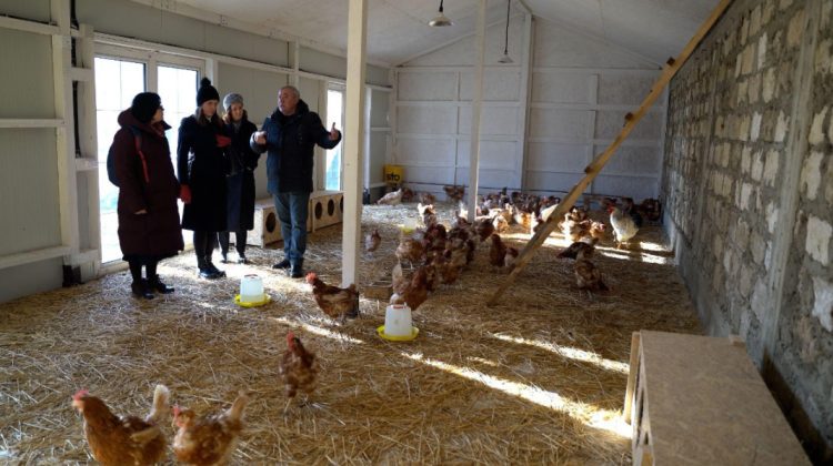 FOTO La Isacova a fost inaugurată o mini-fermă de iepuri și găini ouătoare pentru copiii cu boli amenințătoare de viață