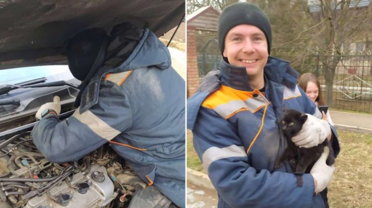 FOTO Pisoi norocos! Salvatorii din stânga Nistrului au scos o felină de sub capota unei mașini
