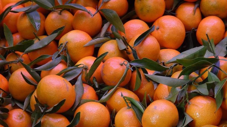 Mai scumpe decât portocalele! Prețul mandarinelor din comerț crește galopant. Specialiștii explică fenomenul