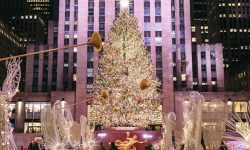 VIDEO Imagini spectaculoase de la aprinderea luminițelor pe bradul de la Rockefeller Center din New York