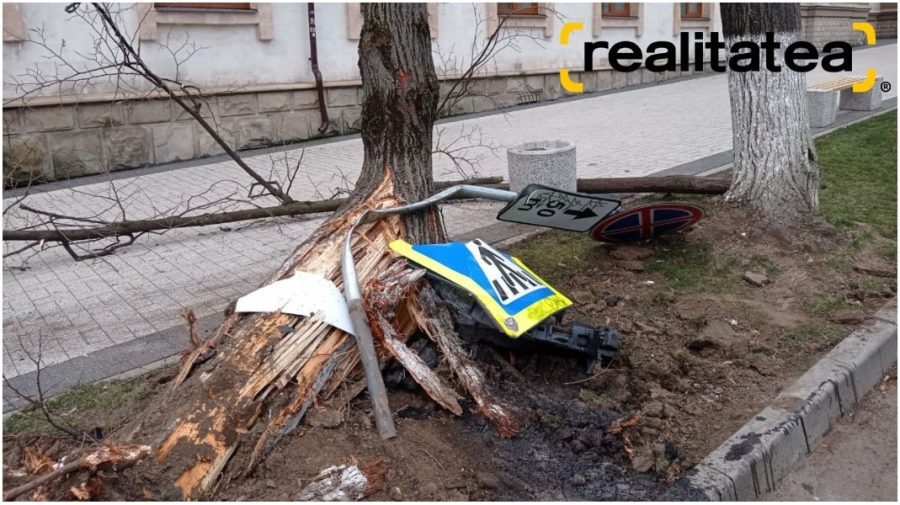 FOTO Accident grav în Capitală! Un copac a fost smuls din rădăcini, iar șoferul unui Lexus a fugit de la fața locului