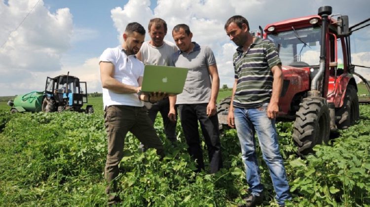 Agricultură digitalizată, acum și în Moldova! Fermierii ar putea scăpa de povara procedurilor birocratice