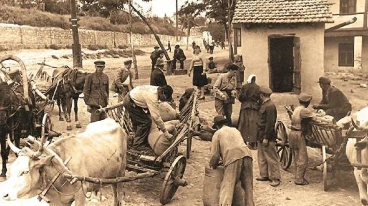 PSDE îi cere guvernării să recunoască oficial Foametea din Basarabia din anii 1946-1947 drept genocid