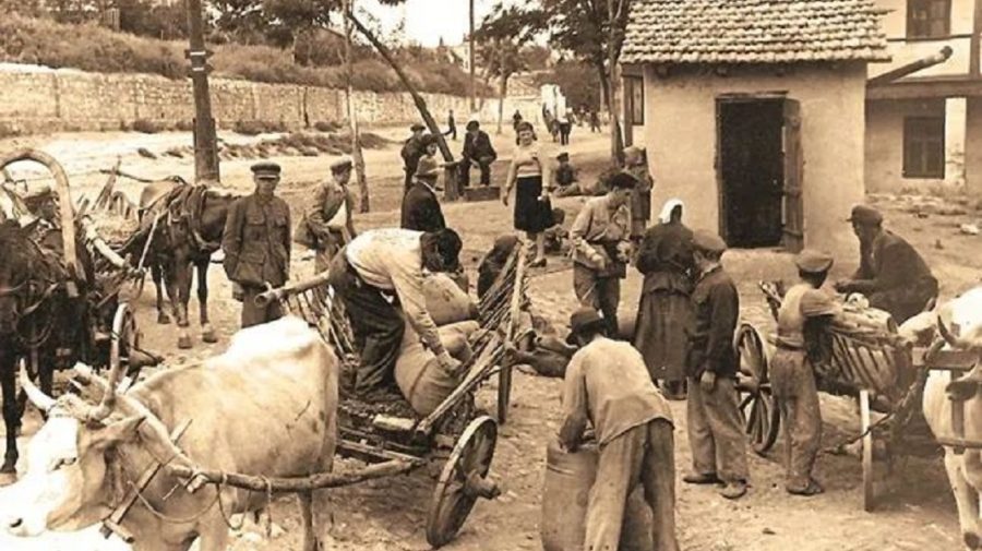 PSDE îi cere guvernării să recunoască oficial Foametea din Basarabia din anii 1946-1947 drept genocid