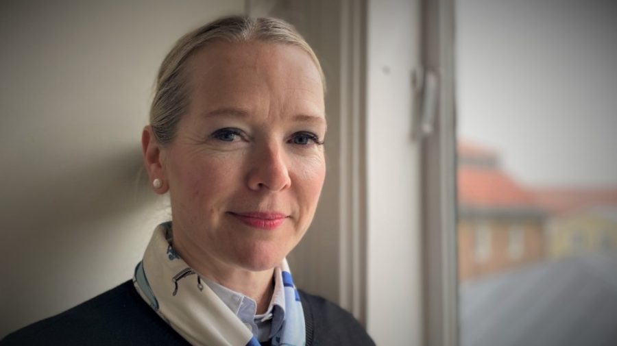Secretara de Stat din Suedia, Diana Janse, vizitează în Republica Moldova. Întrevederile pe care le va avea