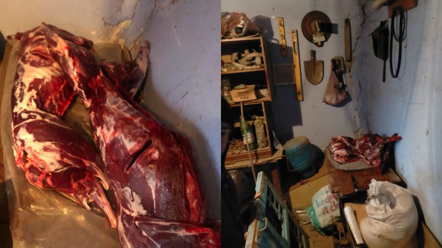 FOTO Braconier care a vânat căprioare, prinşi la Orhei. Inspectorii de mediu: Strigător la cer