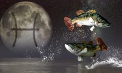 HOROSCOP 27 ianuarie: Peștii își asumă riscuri, iar Vărsătorii primesc vești bune. Cui îi surâd azi astrele