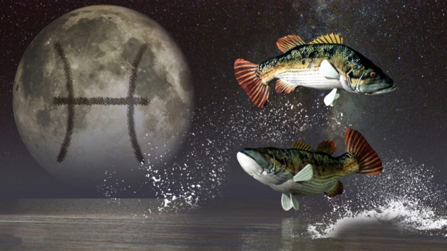 HOROSCOP 27 ianuarie: Peștii își asumă riscuri, iar Vărsătorii primesc vești bune. Cui îi surâd azi astrele