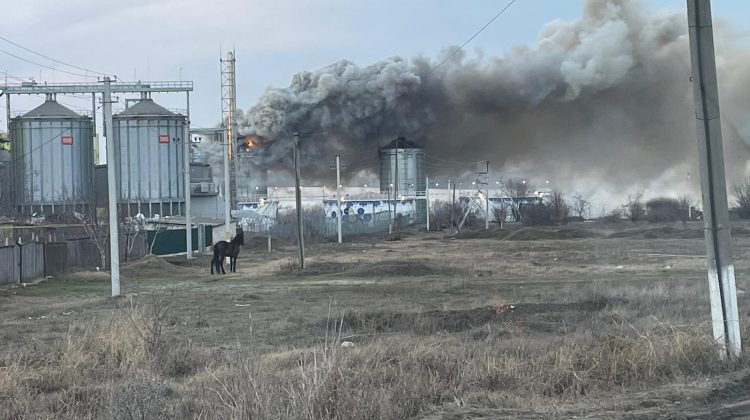 FOTO Incendiu într-un alt rezervor cu șrot de floarea soarelui din Portul Giurgiulești