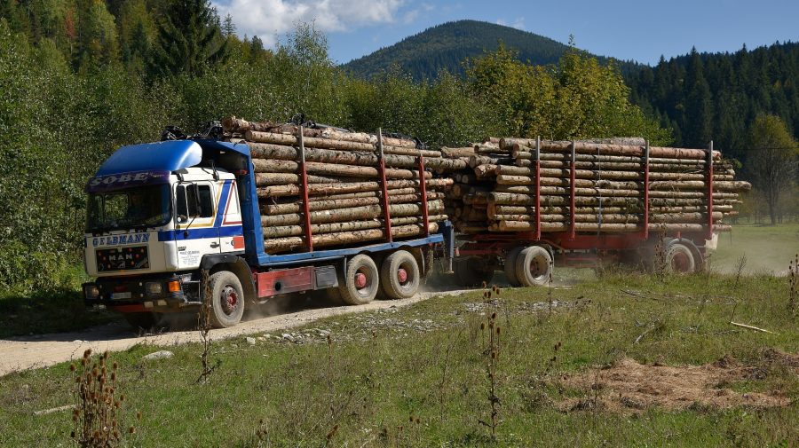 VIDEO Camioane cu lemne din România ajung astăzi în Moldova! Cum vor fi distribuite