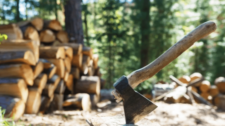 VIDEO „Câte trei, patru cereri pentru lemne de la o familie”. Ministra Mediului „denunță” schemele moldovenilor