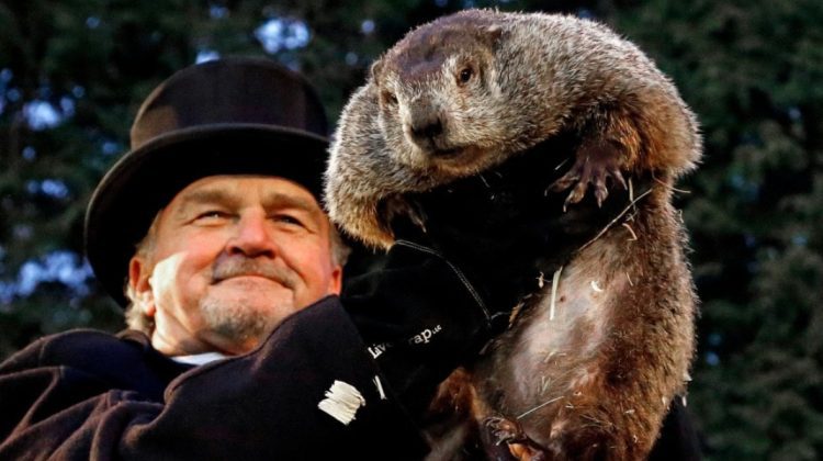 FOTO Ziua marmotei: Phil va prezice azi cât va mai dura iarna