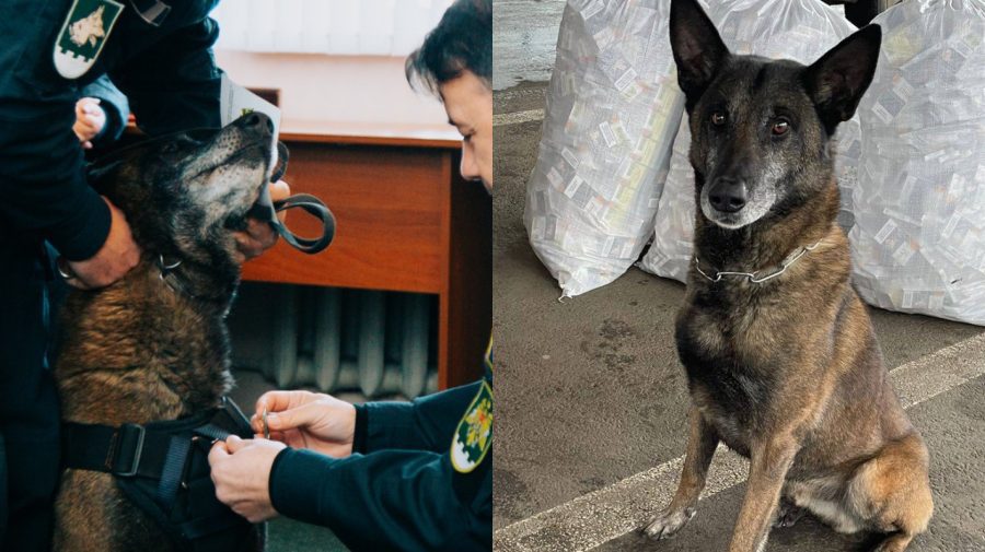„Spaima contrabandiștilor de țigări” a primit distincție! De opt ani lucrează la Poliția de Frontieră