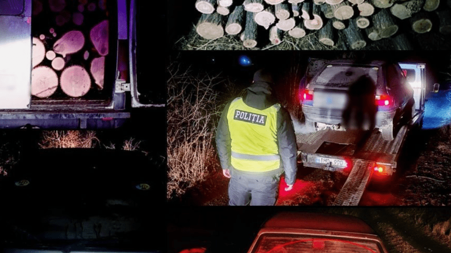 Contrabandă cu lemne la Orhei. Detalii de la oamenii legii