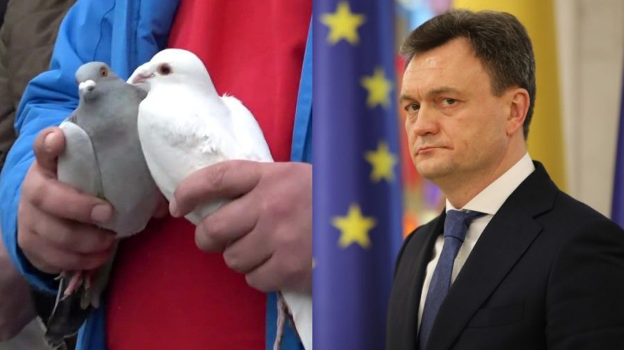 Prim-ministrul este informat, dar nu comentează protestul cu porumbeii