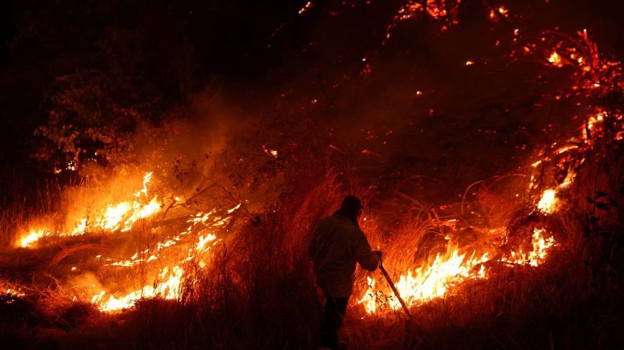 FOTO Terra în furie! Incendii forestiere devastatoare în Chile: Cel puțin 24 de morți și peste 2000 de răniți