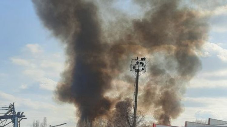VIDEO Incendiu de vegetație în Capitală. Iarba uscată de pe strada Petricani a luat foc