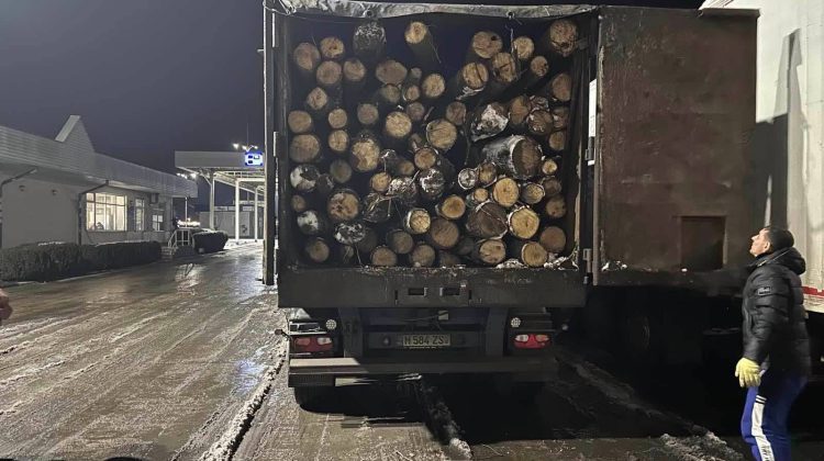 FOTO Republica Moldova a recepționat primul lot de lemne din România